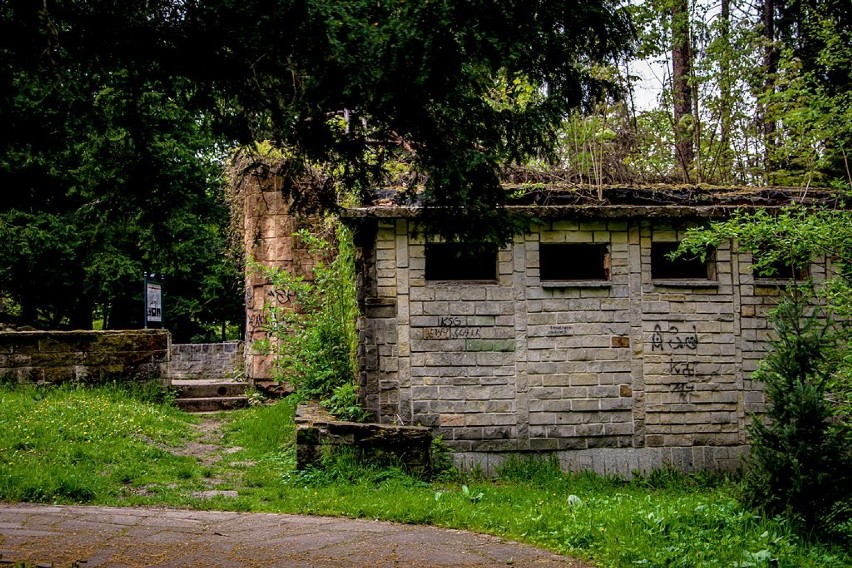 Szczawno-Zdrój: Amfiteatr zapomniane miejsce w Parku Zdrojowym (ZDJĘCIA)