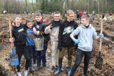 "Las Pełen Energii". 100 osób zasadziło młode buki w okolicy Kopalni i Elektrowni Turów
