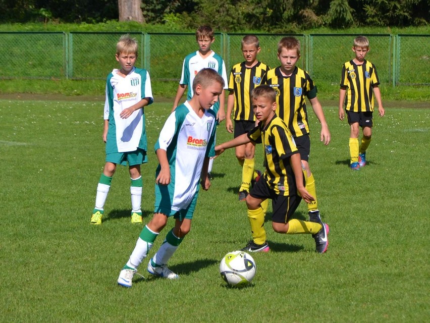 Malbork. Organika Cup 2013 dla chłopców z AP Santos Gdańsk