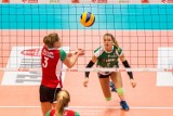 Impel Wrocław z trudem pokonał PTPS Piła 3:2 (ZDJĘCIA)