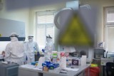 Blisko 300 nowych zakażeń koronawirusem w województwie lubelskim. Sprawdź najnowszy raport