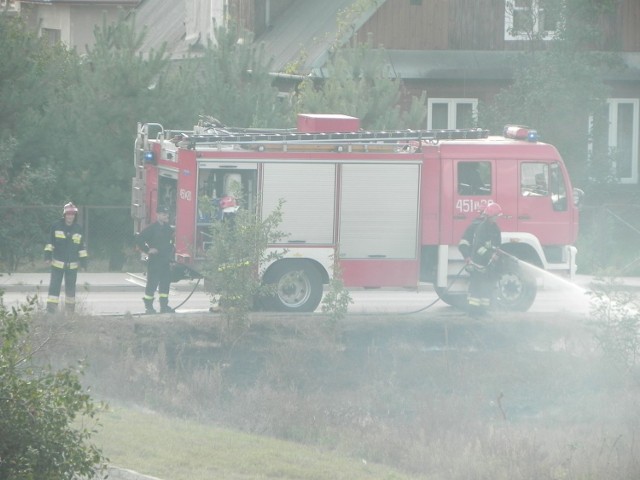 Straż pożarna w akcji.