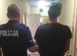  Policja ze Świecia zlikwidowała plantację konopi w gminie Nowe