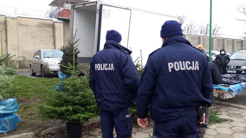 RAWICZ. Policja kontroluje miejsca sprzedaży choinek oraz karpi. Za złamanie przepisów grozi nawet 500 złotych kary [ZDJĘCIA]