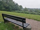 Park Wiłkomirskich w Kaliszu. Dlaczego na zieleńcu jest tylko jedna ławka? ZDJĘCIA