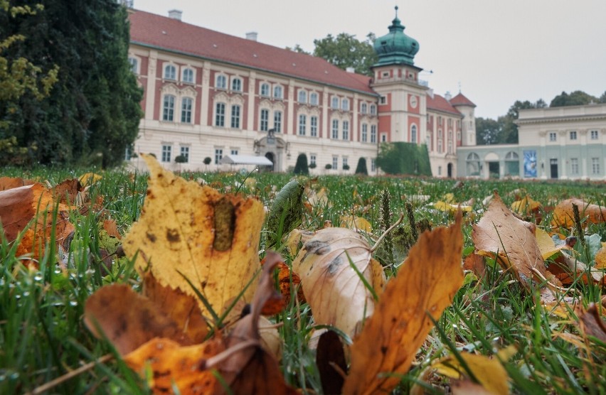 Urokliwa jesień w parku Muzeum - Zamku w Łańcucie