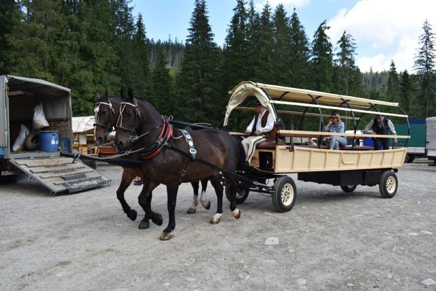 W Tatrach zakończyły się testy hybrydowego wozu konnego, który miał wozić turystów do Morskiego Oka. Nowoczesny fasiąg przegrał z górami