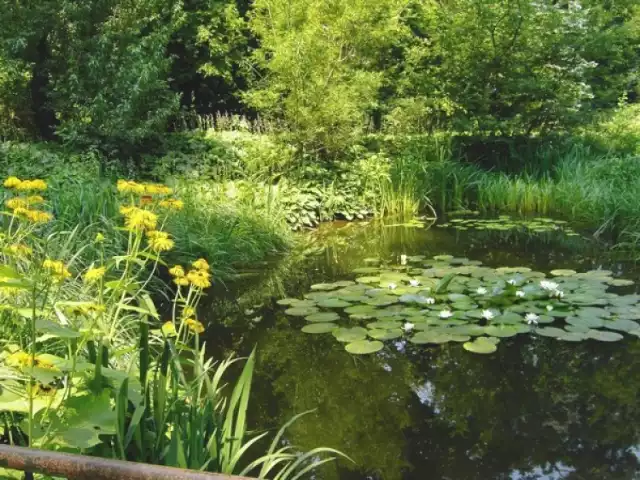 Ogród Botaniczny UJ w Krakowie jest jedną z miejskich atrakcji, ...