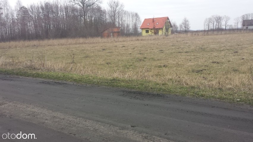 Powierzchnia: 34 000 m²
Typ działki: siedliskowa
Wymiary:...