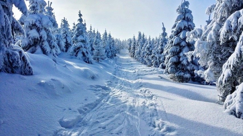 Klínovec położony jest w Rudawach, przy granicy z Niemcami....