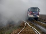 OSP z Postolina i Mikołajek Pomorskich gasiły pożar w Sztumskiej Wsi