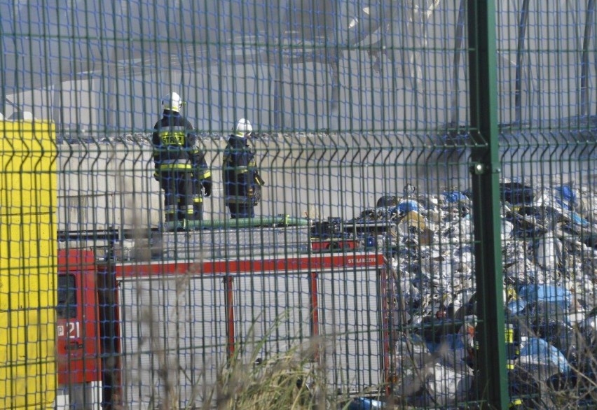 W niedzielę 31 maja paliło się na wysypisku śmieci w Piotrowie Pierwszym