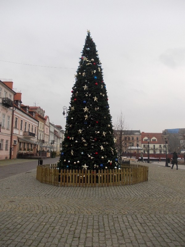 Na Starym Rynku stoi już wielka choinka. Rozbłyśnie w Mikołajki