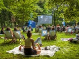 Letnie Kino Plenerowe w Gliwicach. Harmonogram wydarzenia: sprawdź kiedy i gdzie obejrzysz film pod chmurką