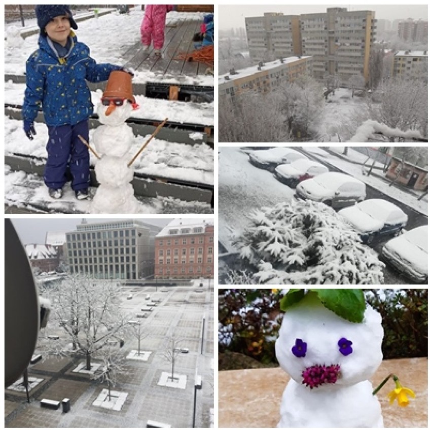 Śnieg we Wrocławiu. Oto zdjęcia Czytelników Naszego Miasta Wrocław (ZOBACZCIE)