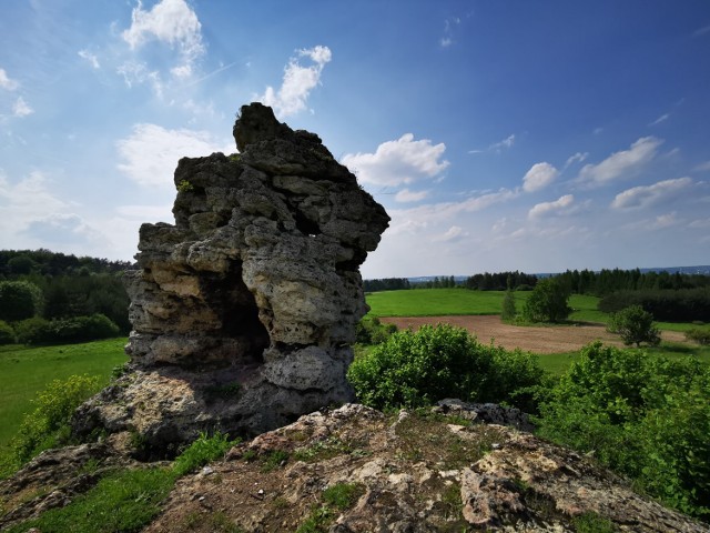 Konkurs fotograficzny "Piękno Ziemi Chrzanowskiej".