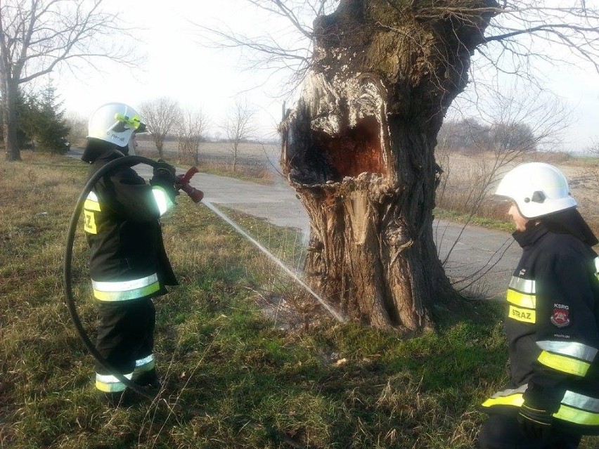 Michorzewo: Pożar od petardy