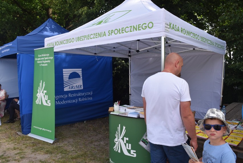 Gniezno. Wieś w Pierwszej Stolicy! Hipodrom zmienił się w wiejską sielankę [FOTO]