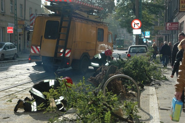 Kraszewskiego - Drzewo spadło na trakcję tramwajową