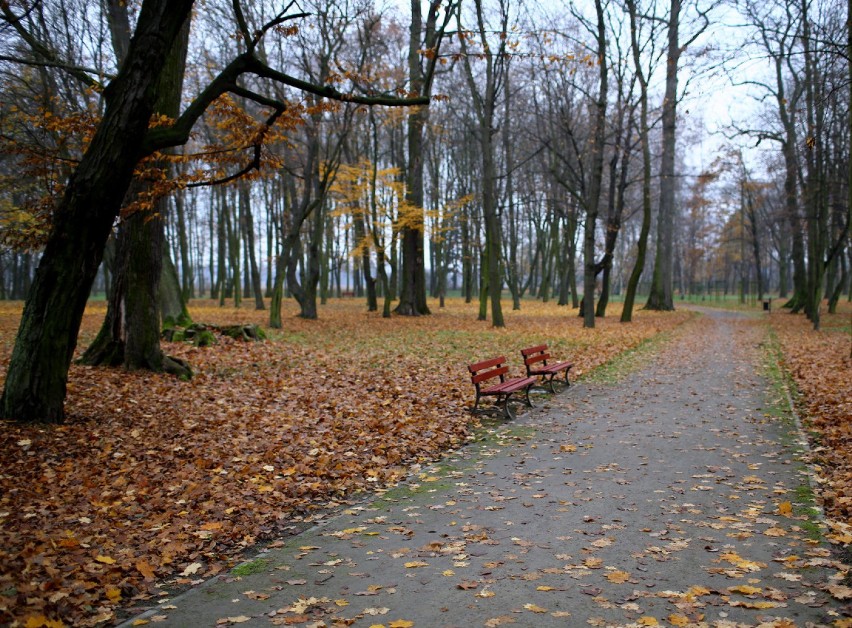 Nowe oblicze Parku Miejskiego w Łasku