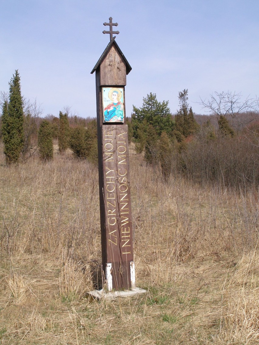 Tajemniczy krzyż w rezerwacie Murawy Dobromierskie.