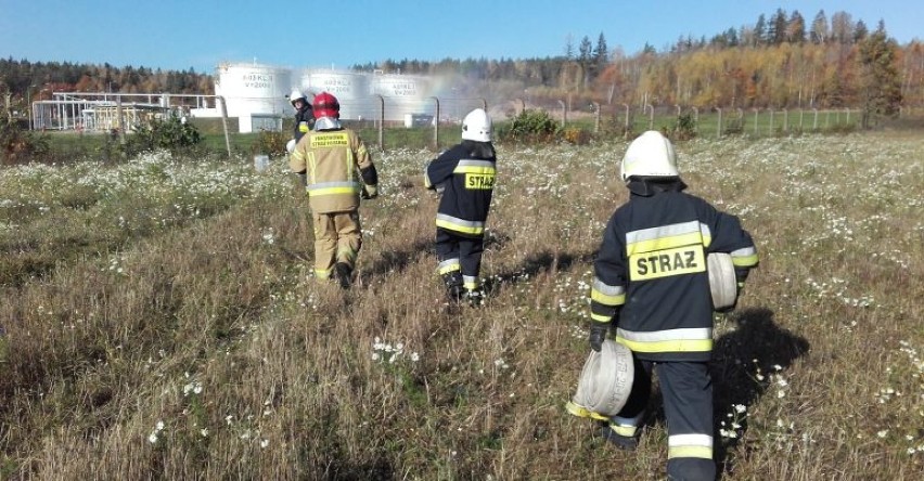 Pożar lasu zagrażał Orlenowi. Tak strażacy ćwiczyli w boju (zdjęcia)