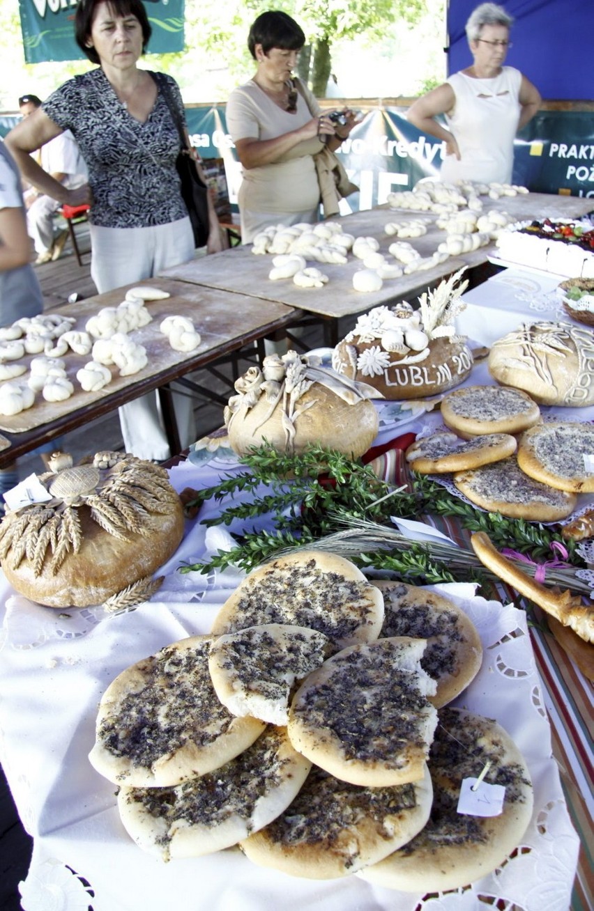 Święto Chleba i Dożynki Dworskie odbyły się w lubelskim skansenie (zdjęcia)