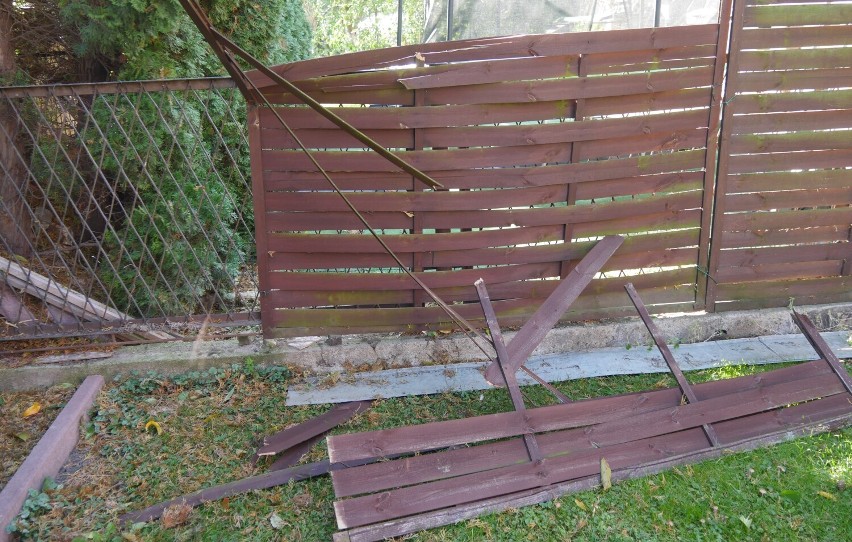 Uszkodzone przez wiatr ogrodzenie na posesji prywatnej