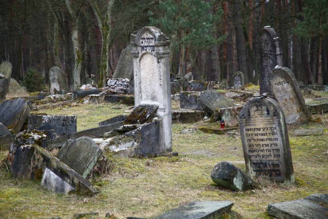 Żydowski cmentarz w Otwocku. Ich kości sprzedawano, a groby splądrowano