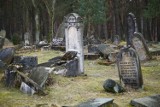Cmentarz żydowski w Otwocku. Ich kości sprzedawano, a groby splądrowano