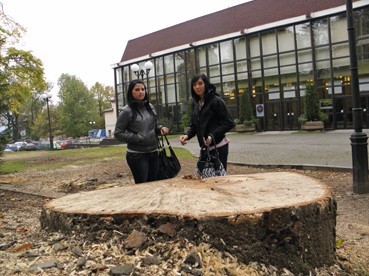 Bielszczanie są oburzeni wycinką drzew w bielskim parku.