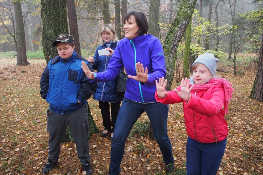 Fundacja z Radomska "leczy lasem" i prosi o wsparcie