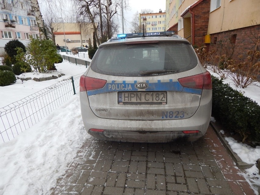 Policjanci pomogli ratować sarenkę w Ustce. Zobacz zdjęcia 