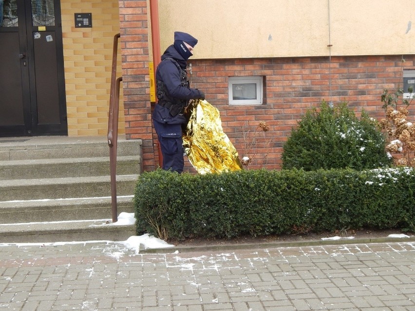 Policjanci pomogli ratować sarenkę w Ustce. Zobacz zdjęcia 