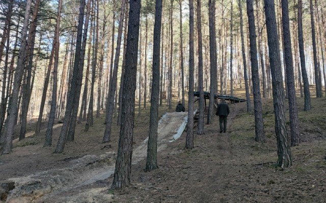 Ze względu na zróżnicowanie terenu i tym samym sumę przewyższeń zielonogórskie lasy są idealny do uprawiania ektremalnego mtb oraz downhillu.