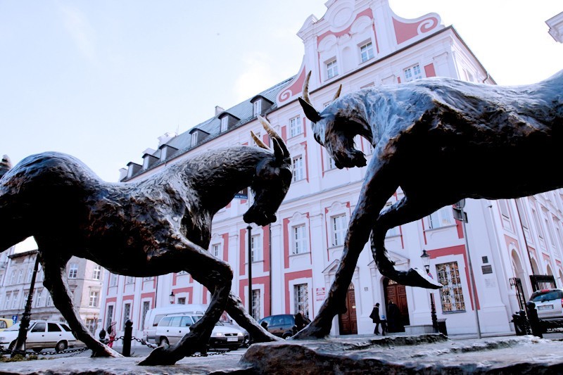 Plac Kolegiacki w Poznaniu, czyli parking na miejscu wspomnień [ZDJĘCIA]