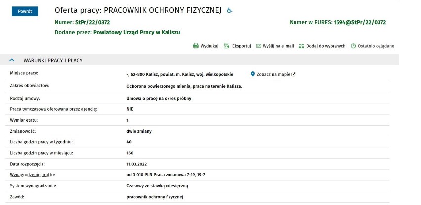 Nowe oferty pracy w Powiatowym Urzędzie Pracy w Kaliszu. Sprawdź za jaką stawkę