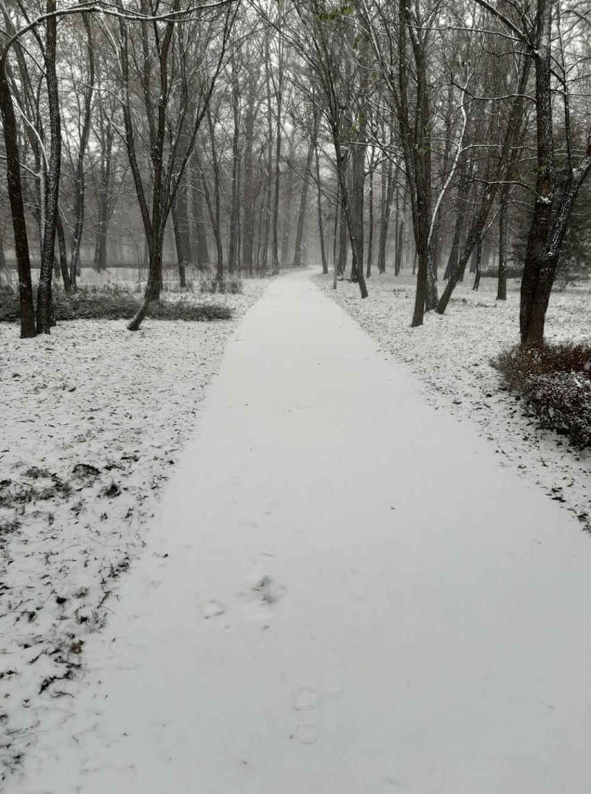 Zima w Oleśnicy okiem naszych czytelników. Zobacz niezwykłe zdjęcia!
