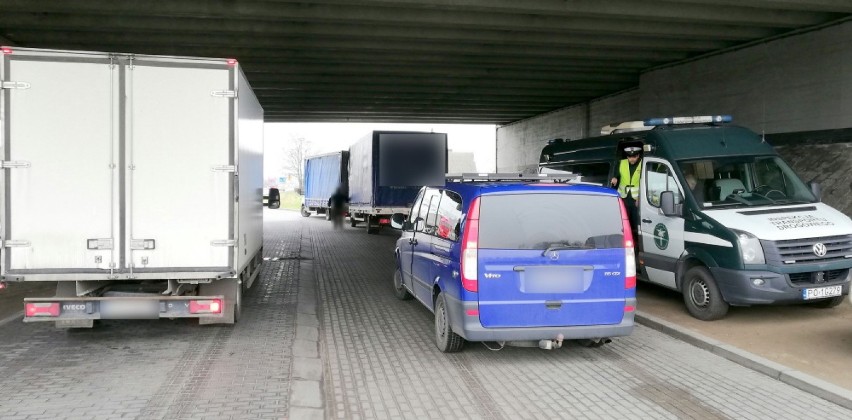 ITD Gniezno: za ciężkie transporty drewna - kierowcy dostali...