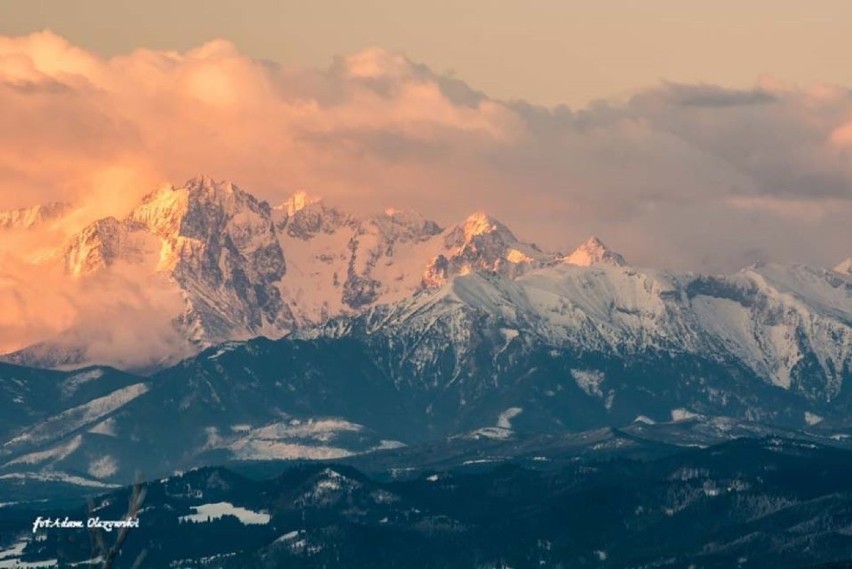 Widok na Tatry z Jaworzyny Krynickiej