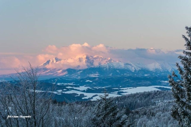 Widok na Tatry z Jaworzyny Krynickiej