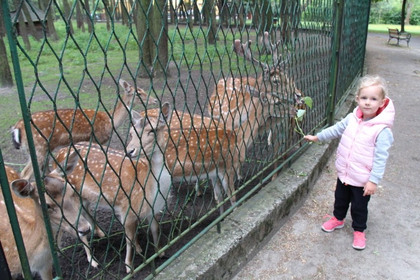 Park w Kazimierzu: zabawa, zwierzaki i piękne widoki [ZDJĘCIA]