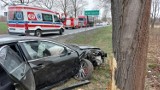 Wypadek w Lipinkach Łużyckich. Auto osobowe wylądowało w rowie