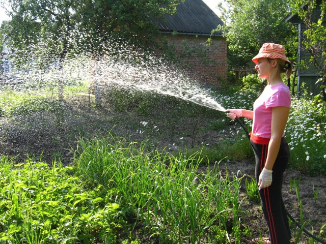 Podlewanie ogrodów jest przyczyną niskiego ciśnienia wody w gminach Choceń, Górzno i Łysomice.
