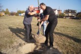 Radomsko: 100 drzew na 100-lecie odzyskania przez Polskę niepodległości [ZDJĘCIA, FILM]