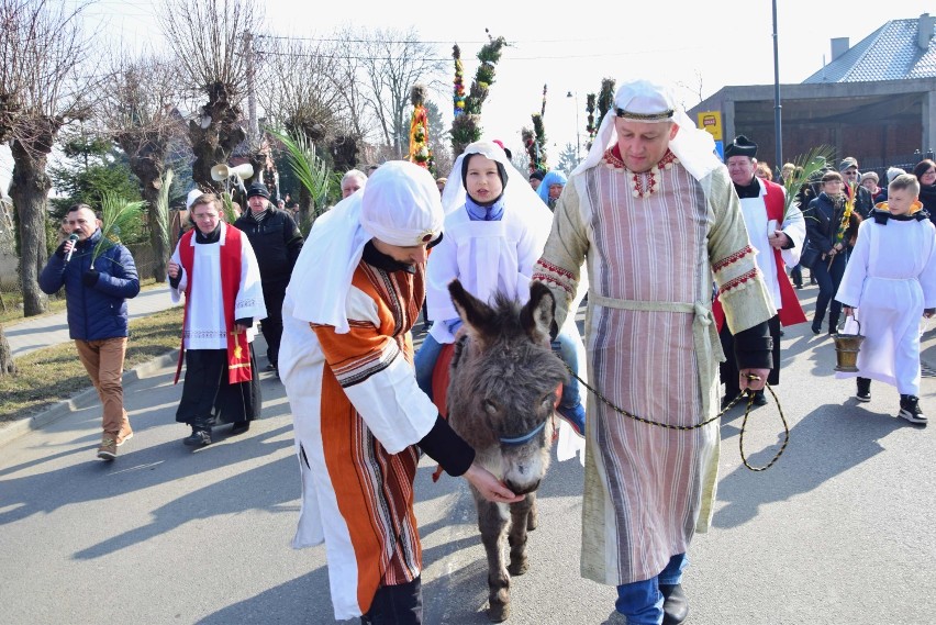 Niedziela Palmowa w Nowym Stawie [ZDJĘCIA]. Już tradycyjnie Jezus przejechał przez miasto na osiołku