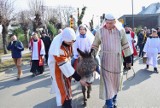 Niedziela Palmowa w Nowym Stawie [ZDJĘCIA]. Już tradycyjnie Jezus przejechał przez miasto na osiołku