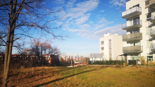 Na Żegrzu powstanie park kieszonkowy, wykorzystujący m.in. miejscową roślinność ruderalną