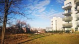 W Poznaniu powstanie park kieszonkowy z przyrodą ruderalną - czyli rosnącą na gruzach! Będzie on przy ul. Inflanckiej i Rzeczańskiej