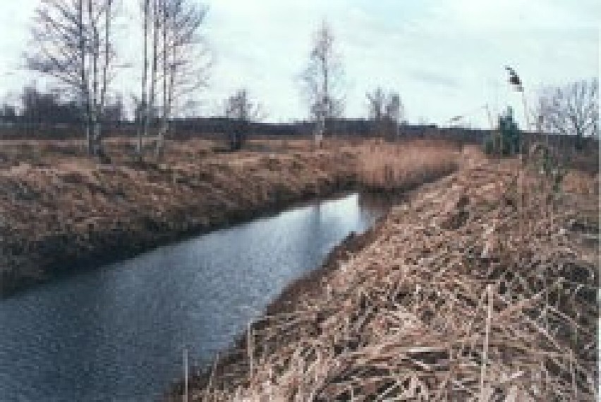 Czarna Struga z czasu śledztwa